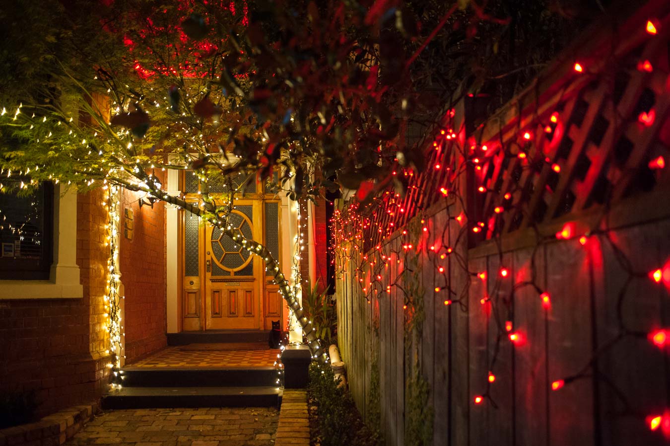 The Christmas entrance to Keith Nelson Dentists belies what lies within. The Christmas entrance to Keith Nelson Dentists belies what lies within.
