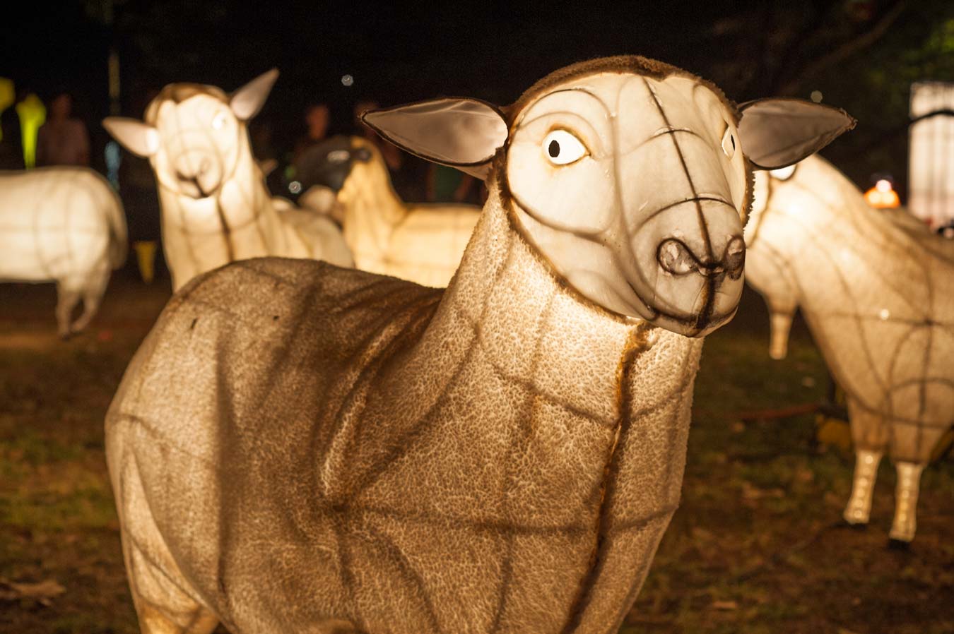 Electric Sheep