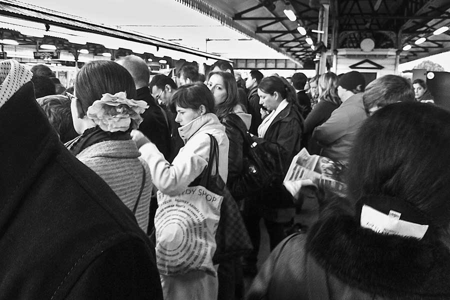 Eyeing up the competition as commuters wait on Overland Platform 1, Clapham Junction.