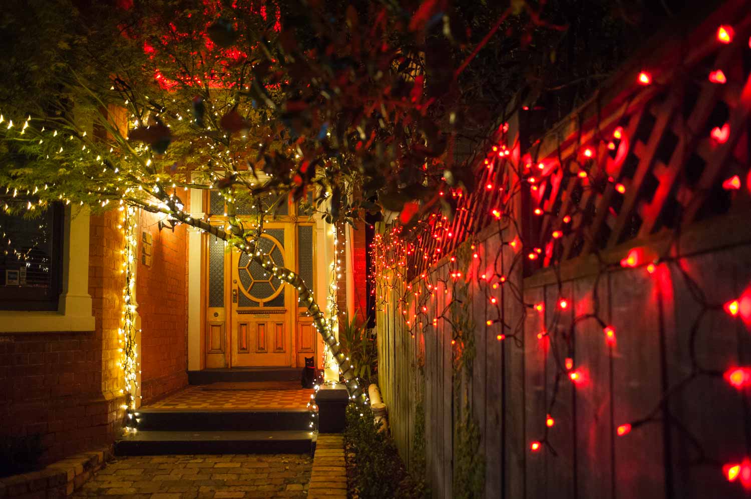 The Christmas entrance to Keith Nelson Dentists belies what lies within.