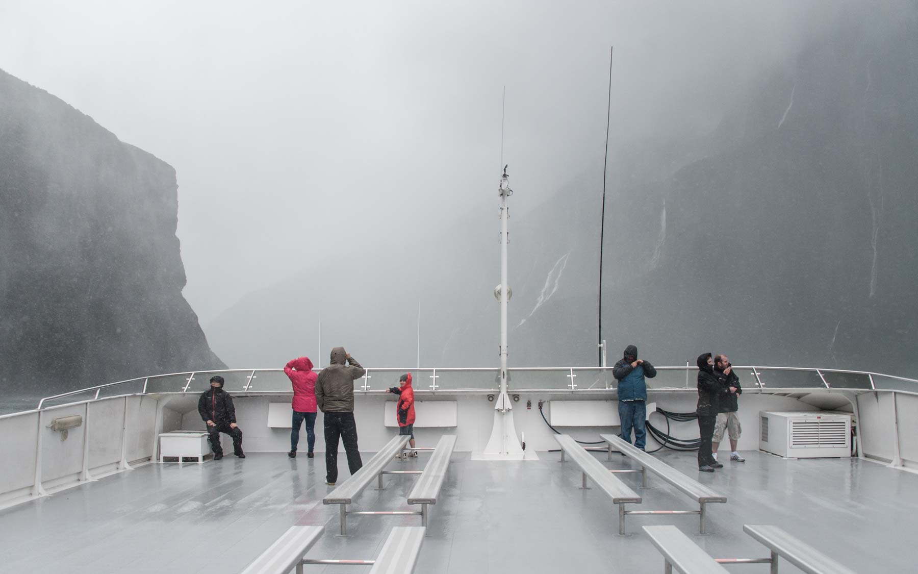 Venturing into Milford Sound